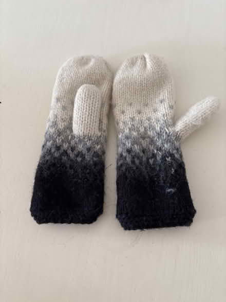 Photo of free Fleece lined winter mittens (Richmond TW10) #2