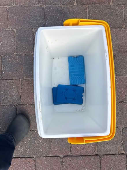Photo of free Cool box (Riccall, YO19) #2