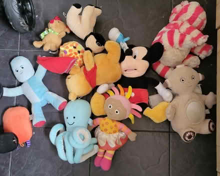 Photo of free Teddies (Dawsons Corner LS28) #1