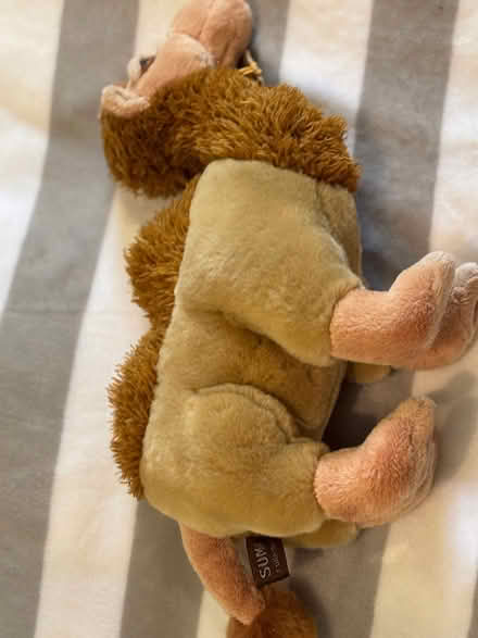 Photo of free Toy Camel (Stone Cross BN23) #2