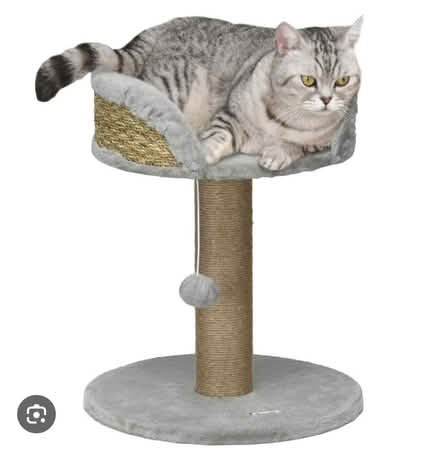 Photo of Small grey cat scratcher (Stockwell SW8) #1