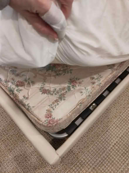 Photo of free Double Bed + 2 mattresses (1fm,1sp) (Great Missenden, HP16) #3