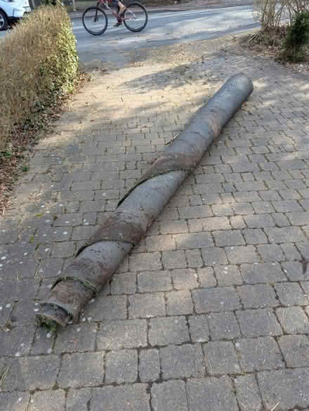 Photo of free Astroturf (CW8) #1