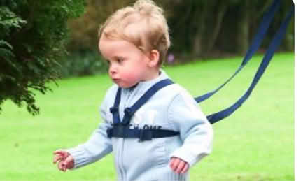 Photo of free Kids safety lead (West acton - W3) #2