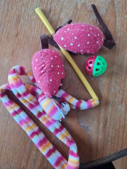 Photo of free Cat toys (SE25 / CR7) #1