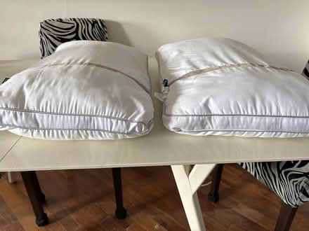 Photo of free Two Down Alternative Pillows (Richmond TW10) #2