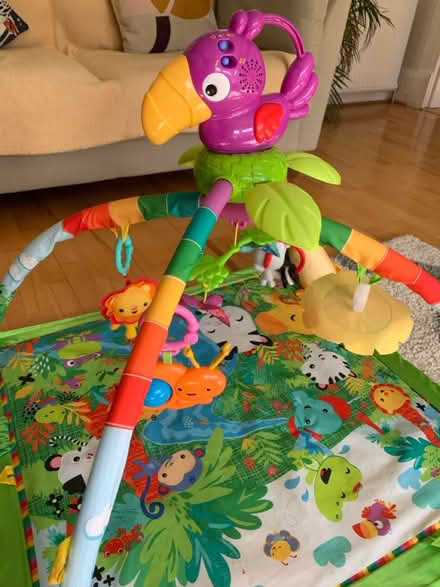 Photo of free Baby rainforest play gym (Mount Florida G44) #2