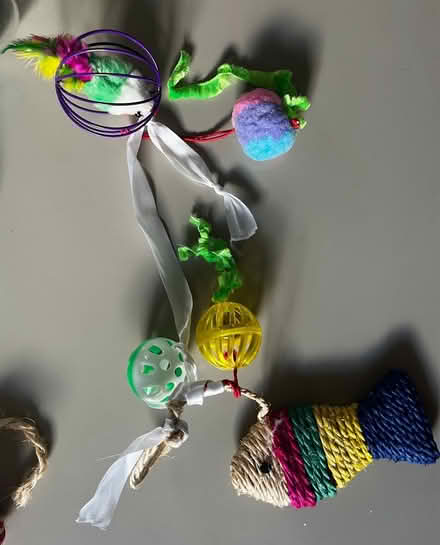 Photo of free Cat toys & treat catapult dispenser (HA8 / Edgware) #3