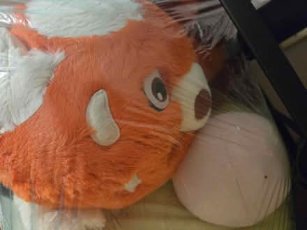 Photo of free Stuffed animals (Downtown Madison) #1
