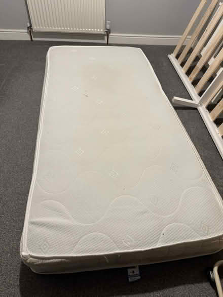 Photo of free Single bed (Cheltenham) #3