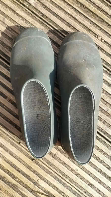 Photo of free Women's Gardening Shoes (Glenfield, LE3) #2