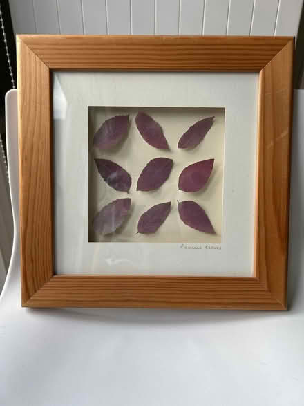 Photo of free Wooden Box frame ‘rain tree leaves’ (Herne Hill SE24) #1