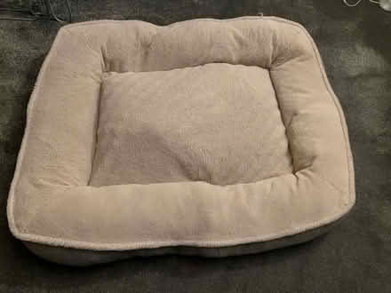 Photo of free Dog bed (Gunthorpe) #1