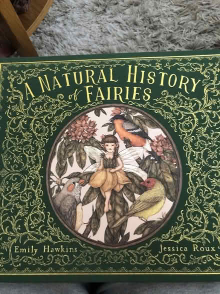 Photo of free Large fairies book (Forest Hill SE23) #1