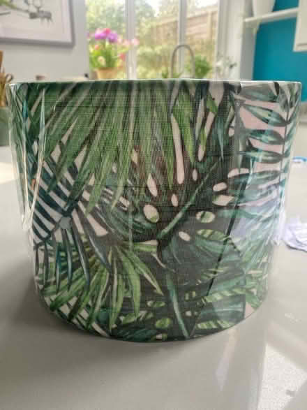 Photo of free Light shade without hanging fittings. (Berkhamsted HP4) #1