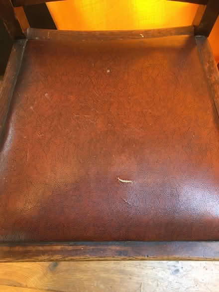 Photo of free 4 vintage dining chairs (Shoscombe Vale) #3