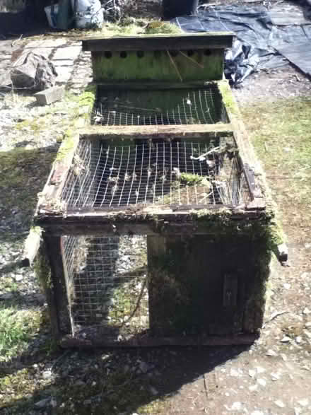 Photo of free Chicken coops X 2 (BS40) #2