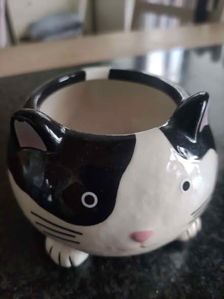 Photo of free Indoor cat ceramic plant pot (Chislehurst BR7) #1