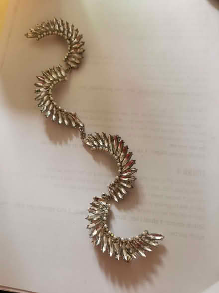 Photo of free Hair decoration (Malvern WR14) #2