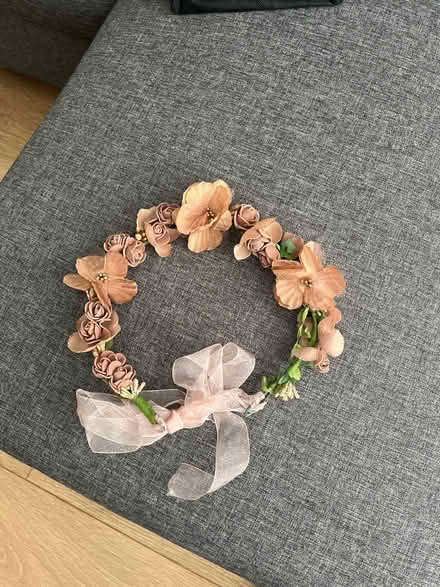 Photo of free Rose crown headband (Ramsbottom BL0) #1