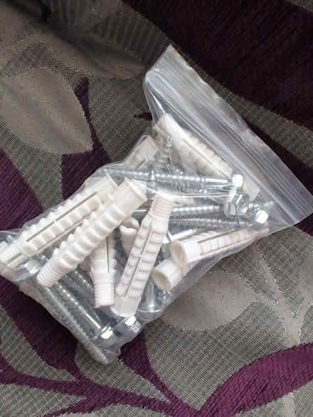 Photo of free Large screws and wall plugs (Norwich NR3) #1