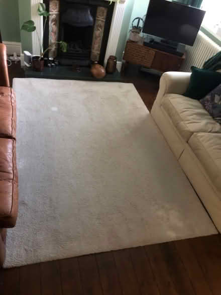 Photo of free Large IKEA Rug (well used) (Newcastle - under - Lyme) #1