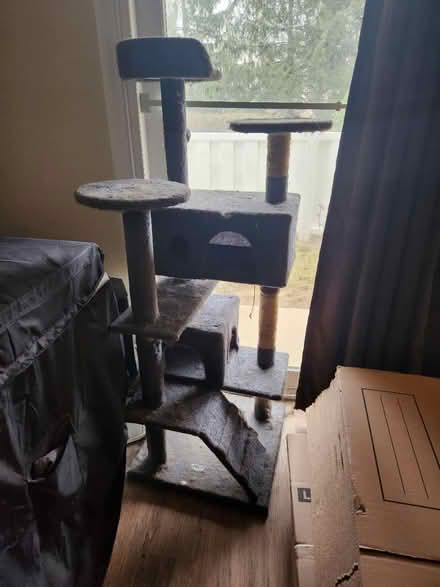 Photo of free Cat tree (Germantown) #1