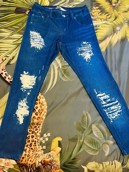 Photo of free Ladies new Jean type leggings (Gosport PO12) #1