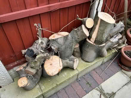 Photo of free Logs (Walton L9) #1