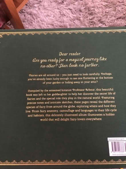 Photo of free Large fairies book (Forest Hill SE23) #2