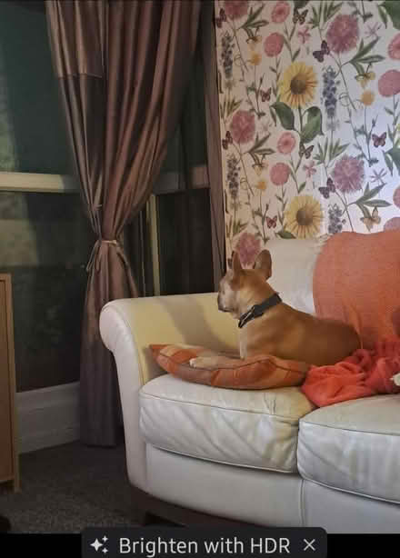 Photo of free 2 x 2 seater cream leather sofas (Wigan WN1) #1