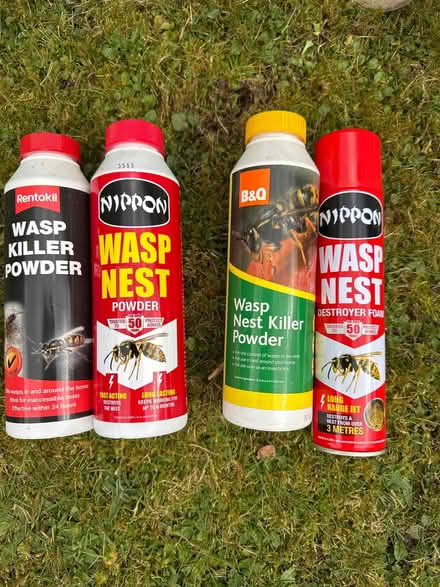 Photo of free Wasp powder (Wheathampstead AL4) #1