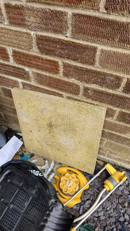 Photo of free Paving slabs (Queens Park) #1