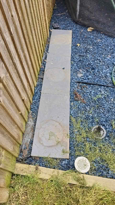 Photo of free Paving slabs (Queens Park) #2