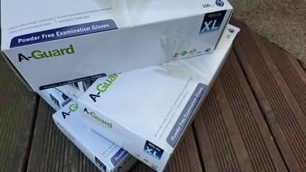 Photo of free 5 boxes of XL gloves (south ham basingstoke) #2
