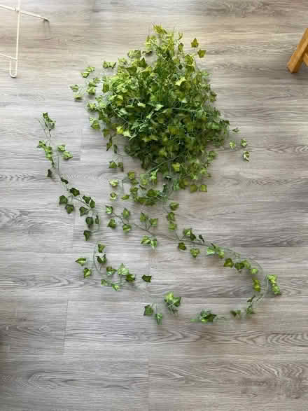 Photo of free Plastic vines for room decor (Norbiton KT1) #1