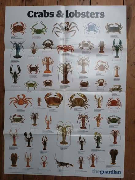 Photo of free Large Natural World posters. Mainly Guardian posters (Risinghurst OX3) #2