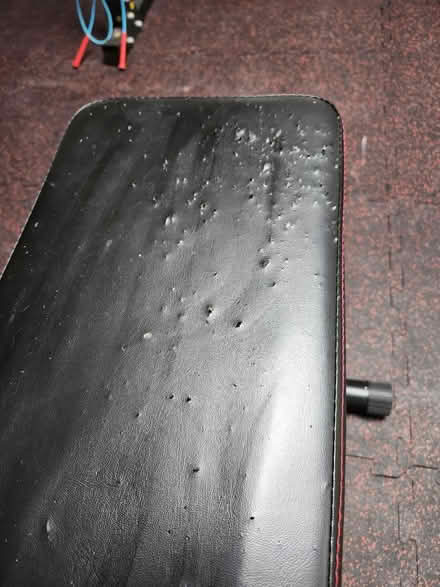 Photo of free Workout bench (Mooney's bay) #3