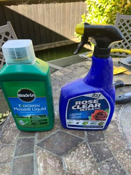 Photo of free New and unused garden items (Horley RH6) #1