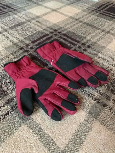 Photo of free Small Red Padded Gloves (South Beach, Blyth NE24) #1