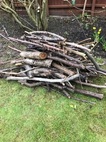Photo of free Logs (Littleover - DE23) #1