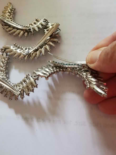 Photo of free Hair decoration (Malvern WR14) #3