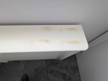 Photo of free Radiator cover (Abingdon OX14) #3