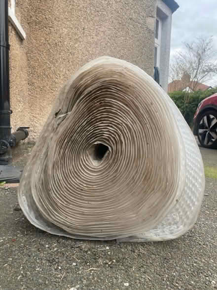 Photo of free Huge roll of bubblewrap (CW2) #2
