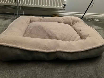 Photo of free Dog bed (Gunthorpe) #2