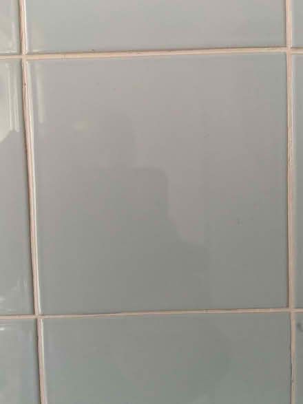 Photo of free Wall tiles (Kendal LA9) #1