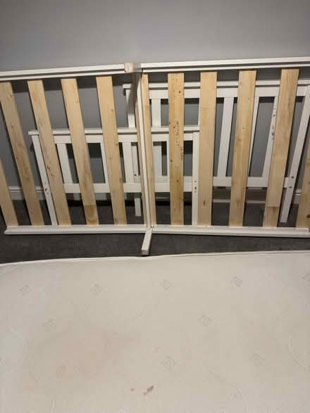 Photo of free Single bed (Cheltenham) #1