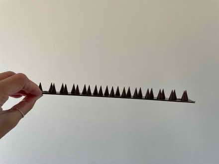 Photo of free Cat/animal deterrent (TR11) #2