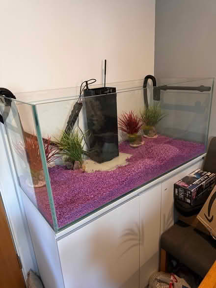 Photo of free 4ft fish tank (CR7) #1