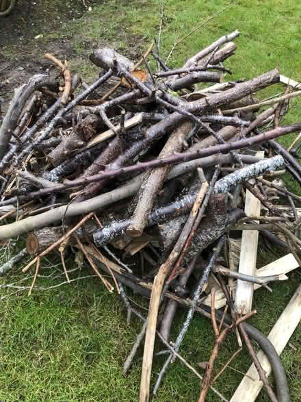 Photo of free Logs (Littleover - DE23) #2